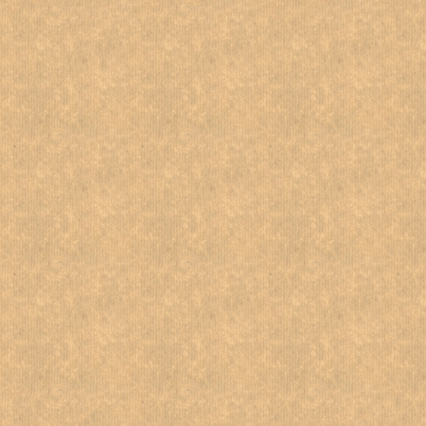 파일:Paper texture.png